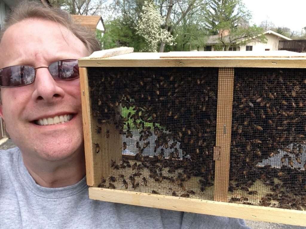 Beekeeper with a package of bees making local honey